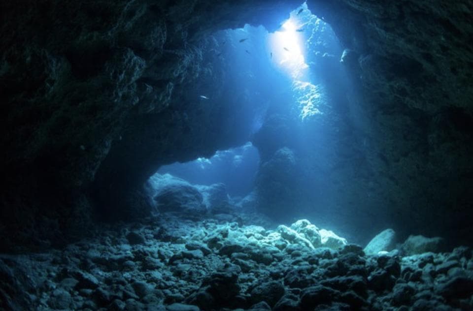 科学家在太平洋海底发现繁荣的生态系统