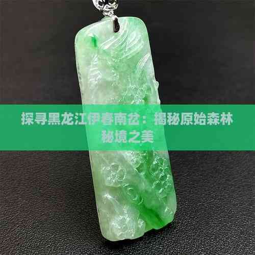 探寻黑龙江伊春南岔：揭秘原始森林秘境之美