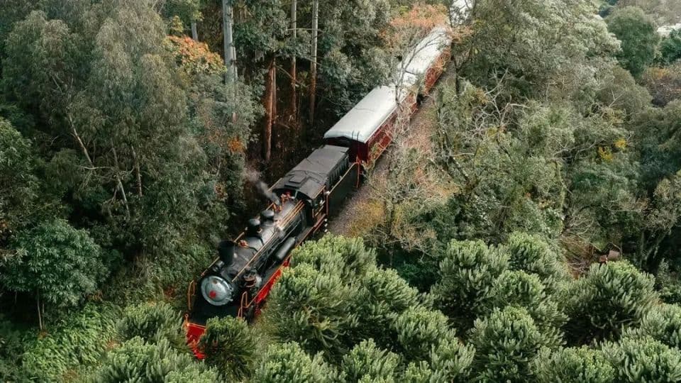 俄罗斯10条绝美火车观光路线：旅行本身就是一场冒险