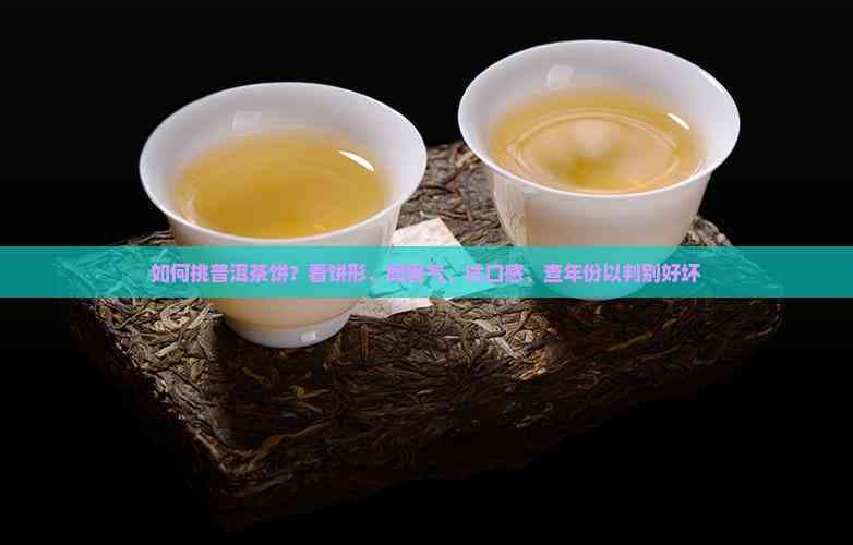 如何挑选普洱茶饼？从饼形、香气到口感的全方位指南
