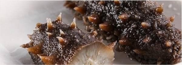 海参肽：保健食品新星的崛起与前景