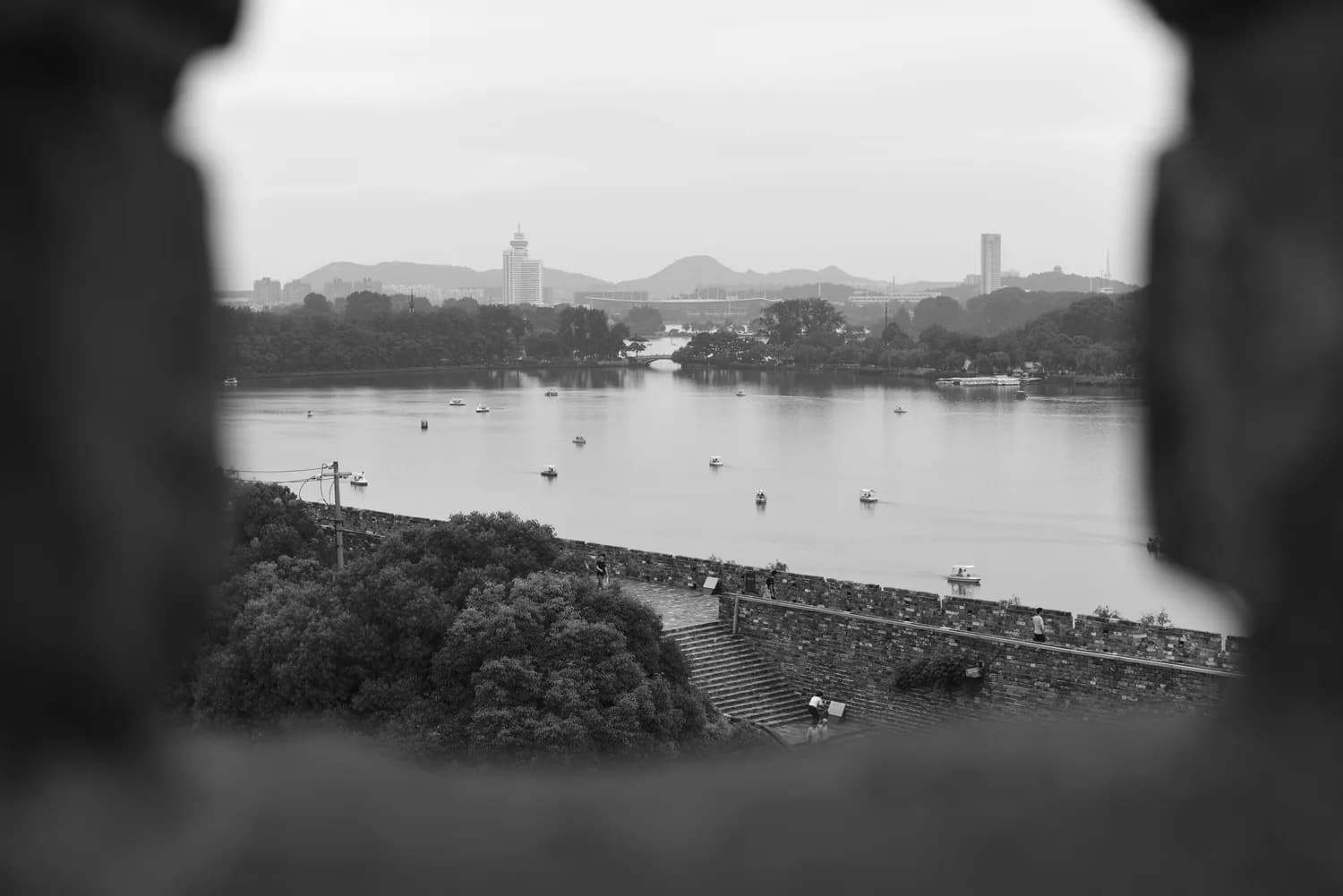 杭州旅游避坑指南：西湖与西溪湿地的真相揭秘！