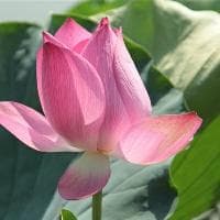 如何坚定信念：七个维度全面提升执行力