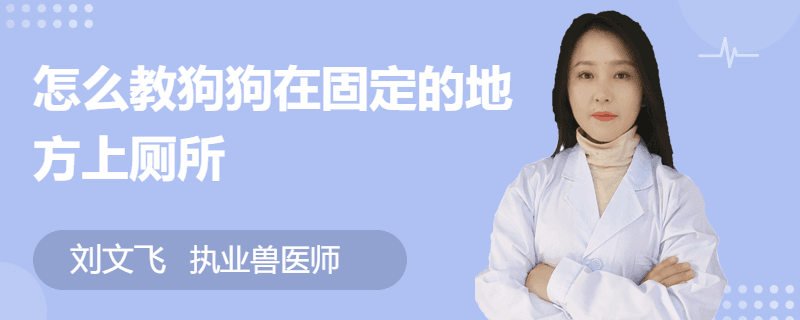 怎么教狗狗在固定的地方上厕所