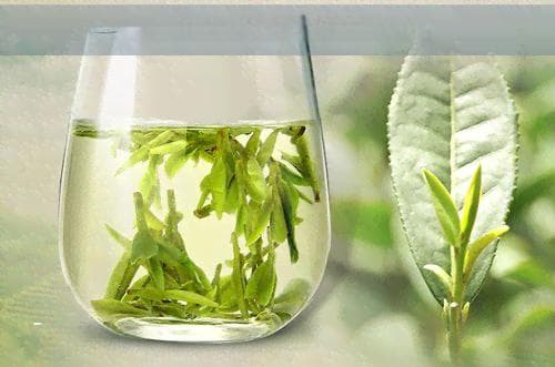 仙是什么意思：网络用语解析与探讨
