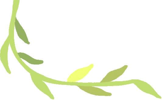 春耕正当时：探秘七顶山大樱桃的春耕图景
