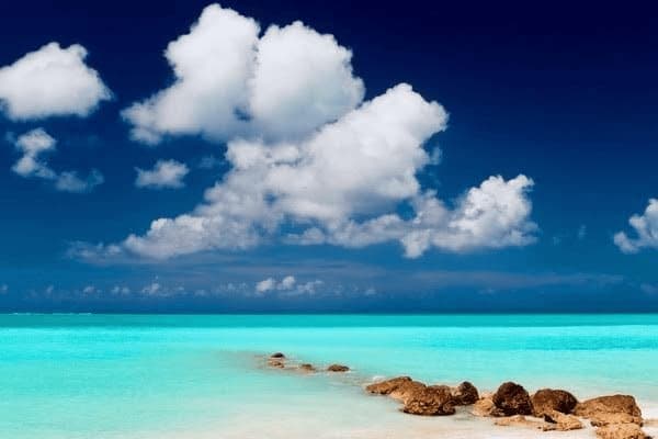 玻璃海棠用什么土养殖，玻璃海棠用什么土养殖更好