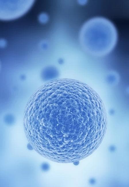 深入解析医学实验设计：科学方法与创新思维的结合