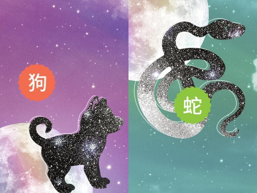 想修成正果？这“6大生肖组合”恐不利于婚姻！