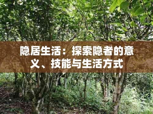 隐居生活：探索隐者的意义、技能与生活方式