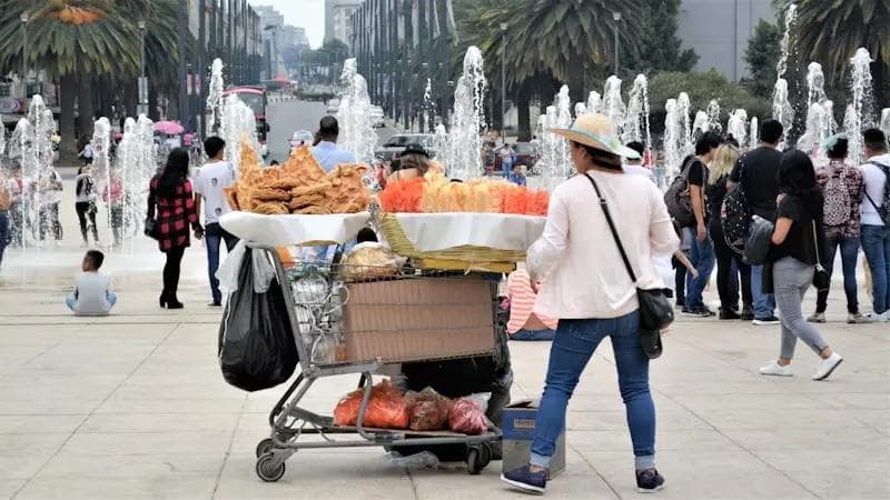 墨西哥城美食指南：12个必去的美食地点