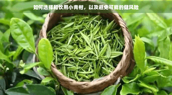 如何选择和饮用小青柑，以及避免可能的健风险