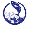 肇民科技实控人拟减持股份：解读潜在影响及市场反应