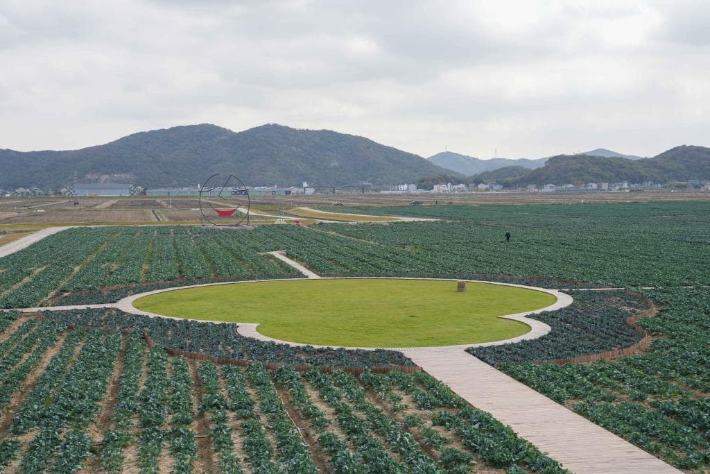 浙江岱山：智慧农业释放蓬勃潜能