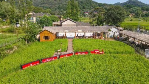 "小院景"托起大愿景：信阳探索"信阳小院"新业态