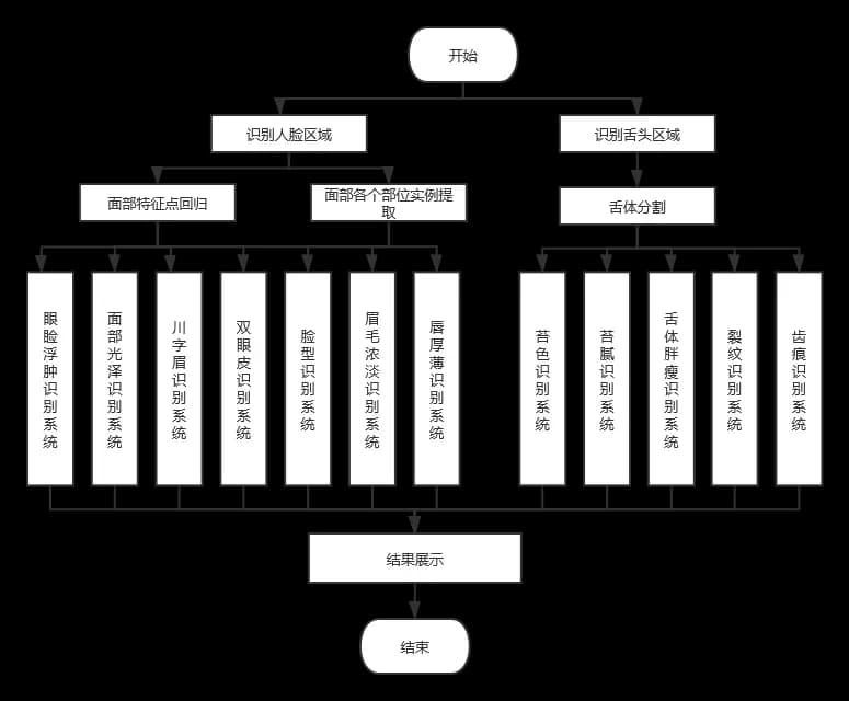 智能中医舌诊：图像识别技术在传统医学中的应用