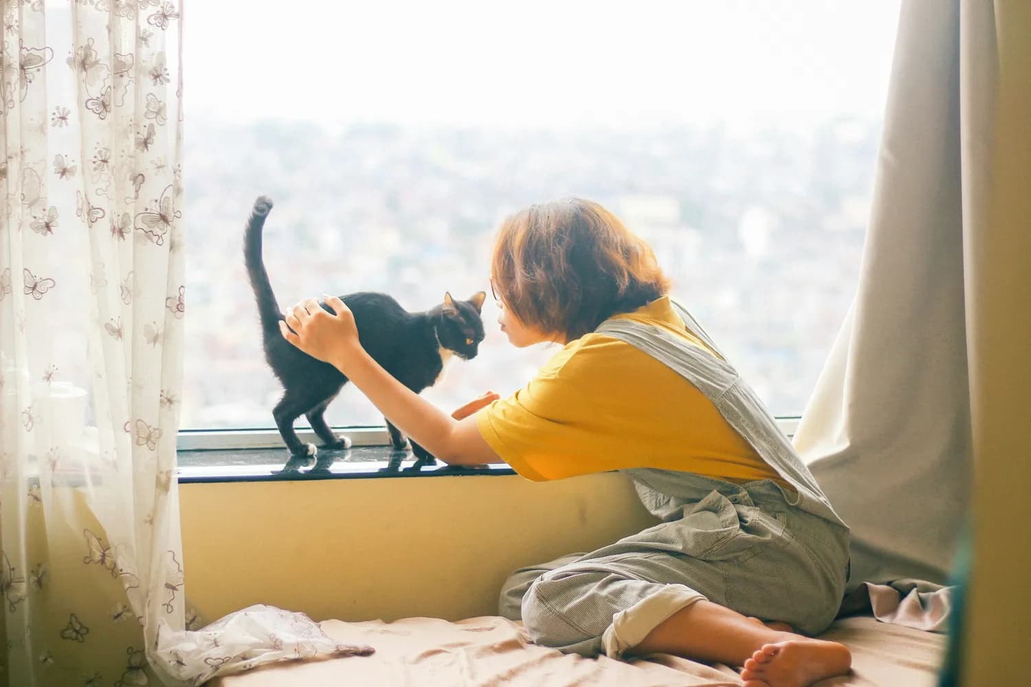 养猫家庭如何科学预防人畜共患病？