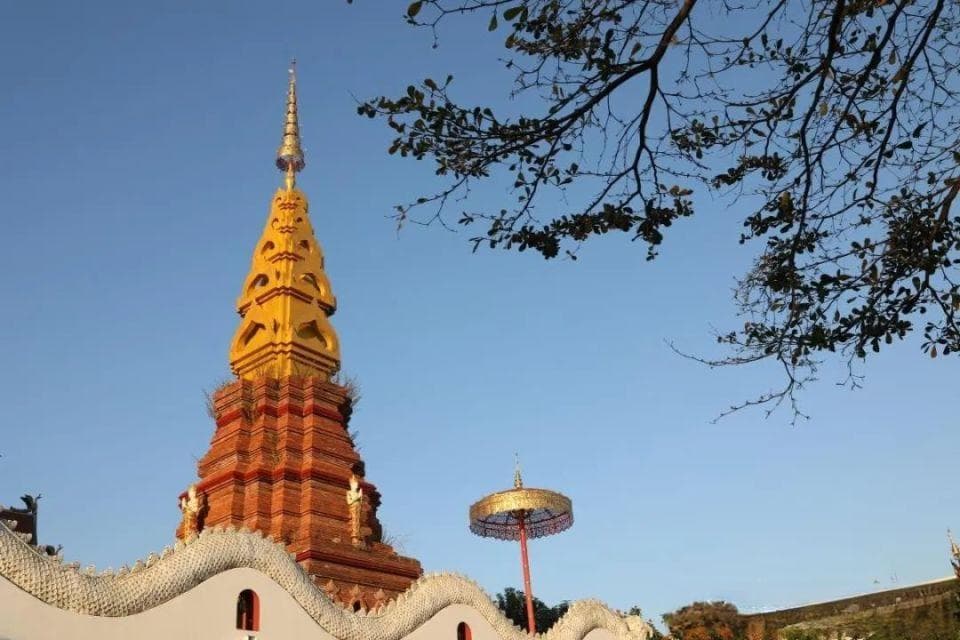 景洪四大景区：从千年御花园到热带雨林仙境