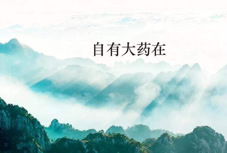 道医和中医到底哪里不同，这篇文章讲得最清楚