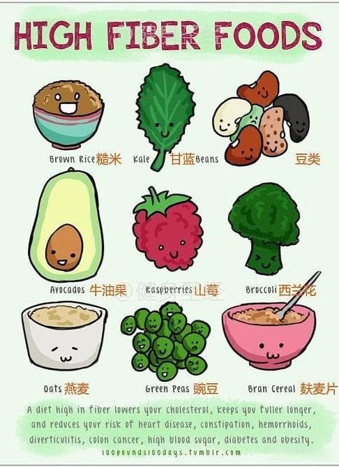 肠道微生物组调节：基于饮食的干预策略