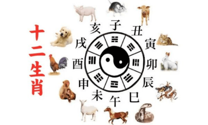 十二生肖的人际关系与社交技巧提升