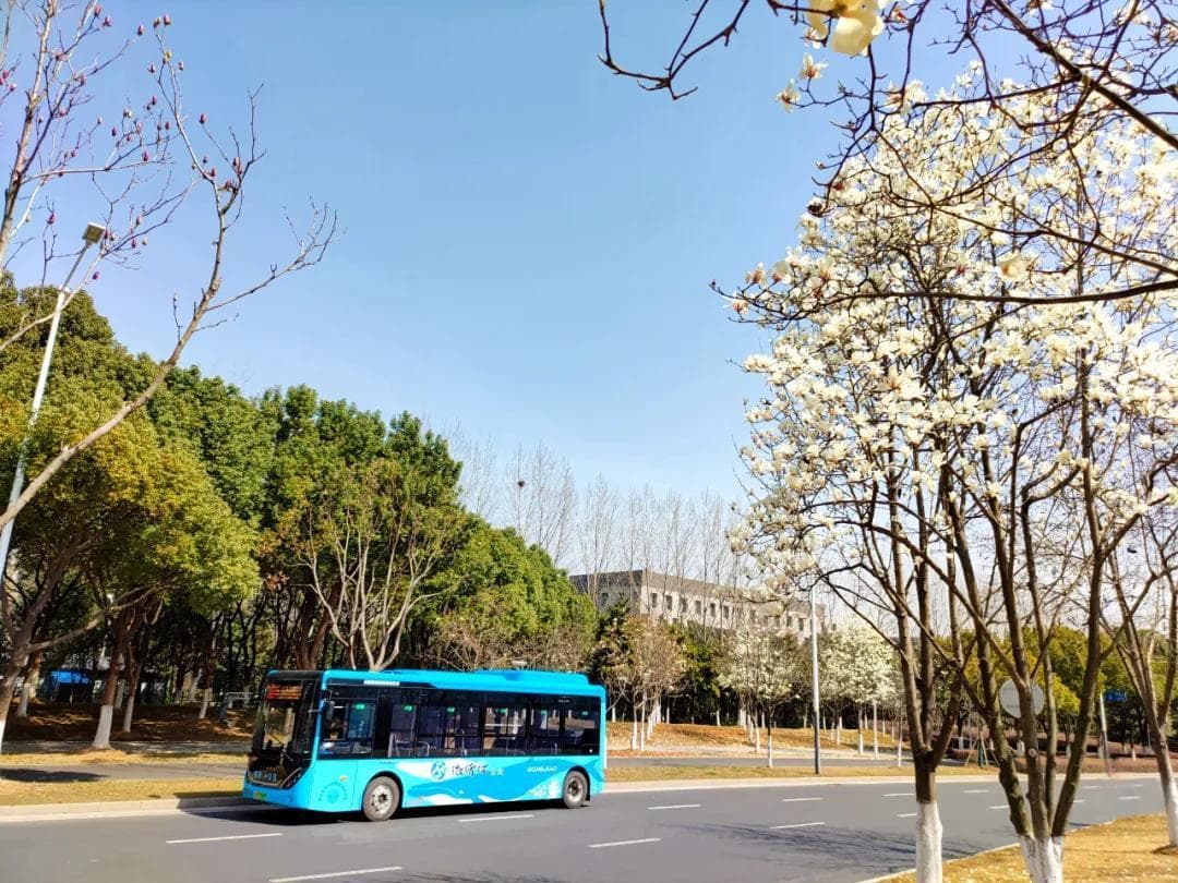 南京入选2024年城市公共交通优先发展和绿色出行典型案例