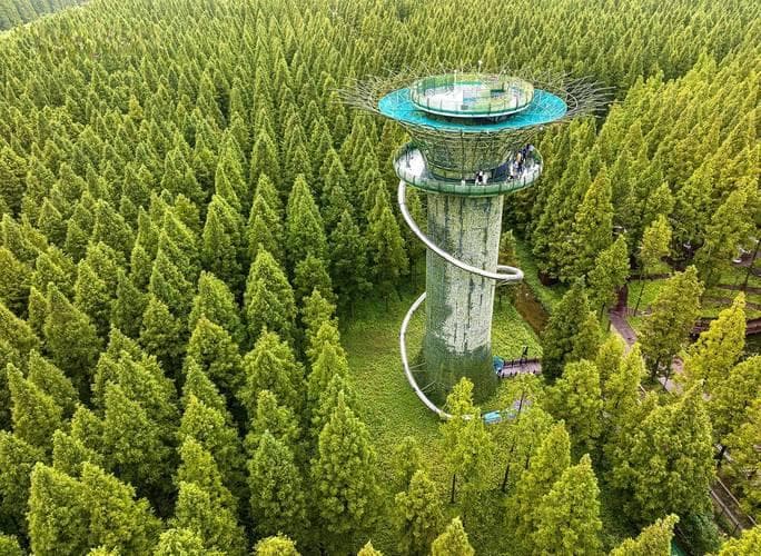 嘈杂生活中的一片自留地：如何打造个人宁静空间？