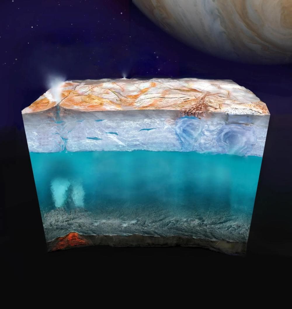 探寻外星生命，科学家为何要以地球生命为参照？