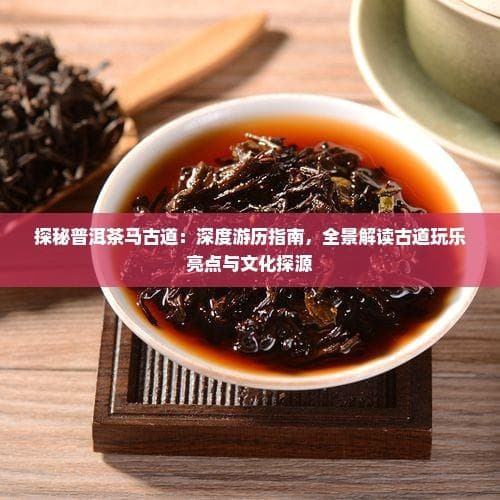 探秘普洱茶马古道：深度游历指南，全景解读古道玩乐亮点与文化探源