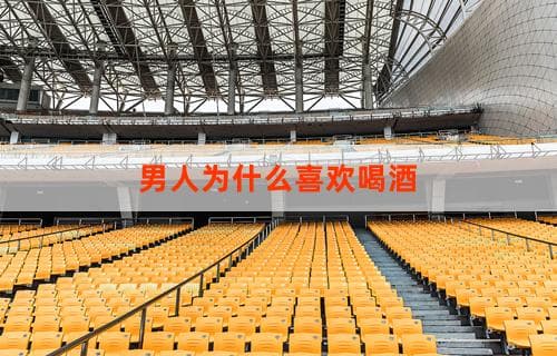 男人为什么喜欢喝酒？深度解析酒文化吸引力