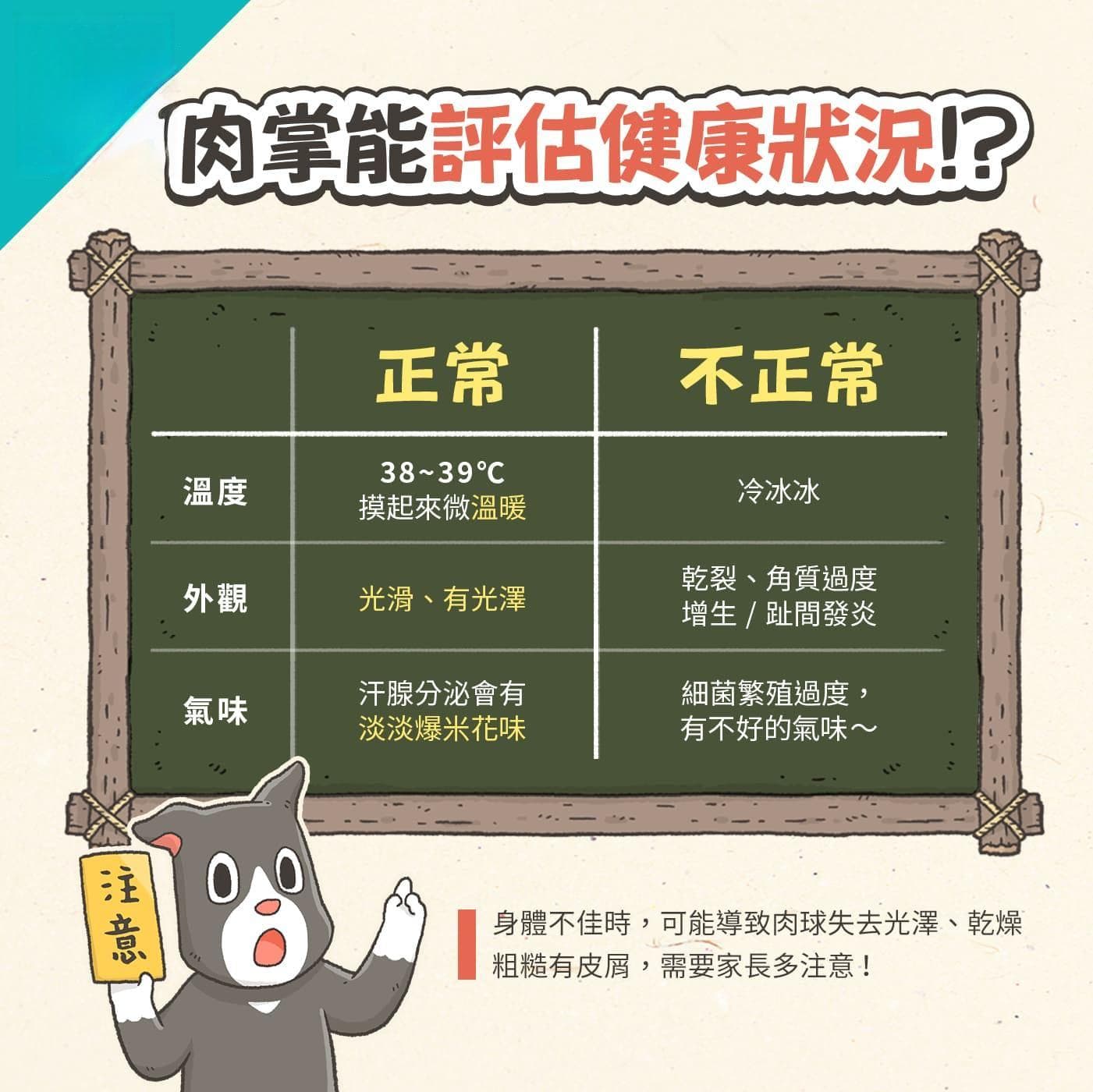 狗狗肉掌的4大重点：功能、健康检查、变色原因与保养方式