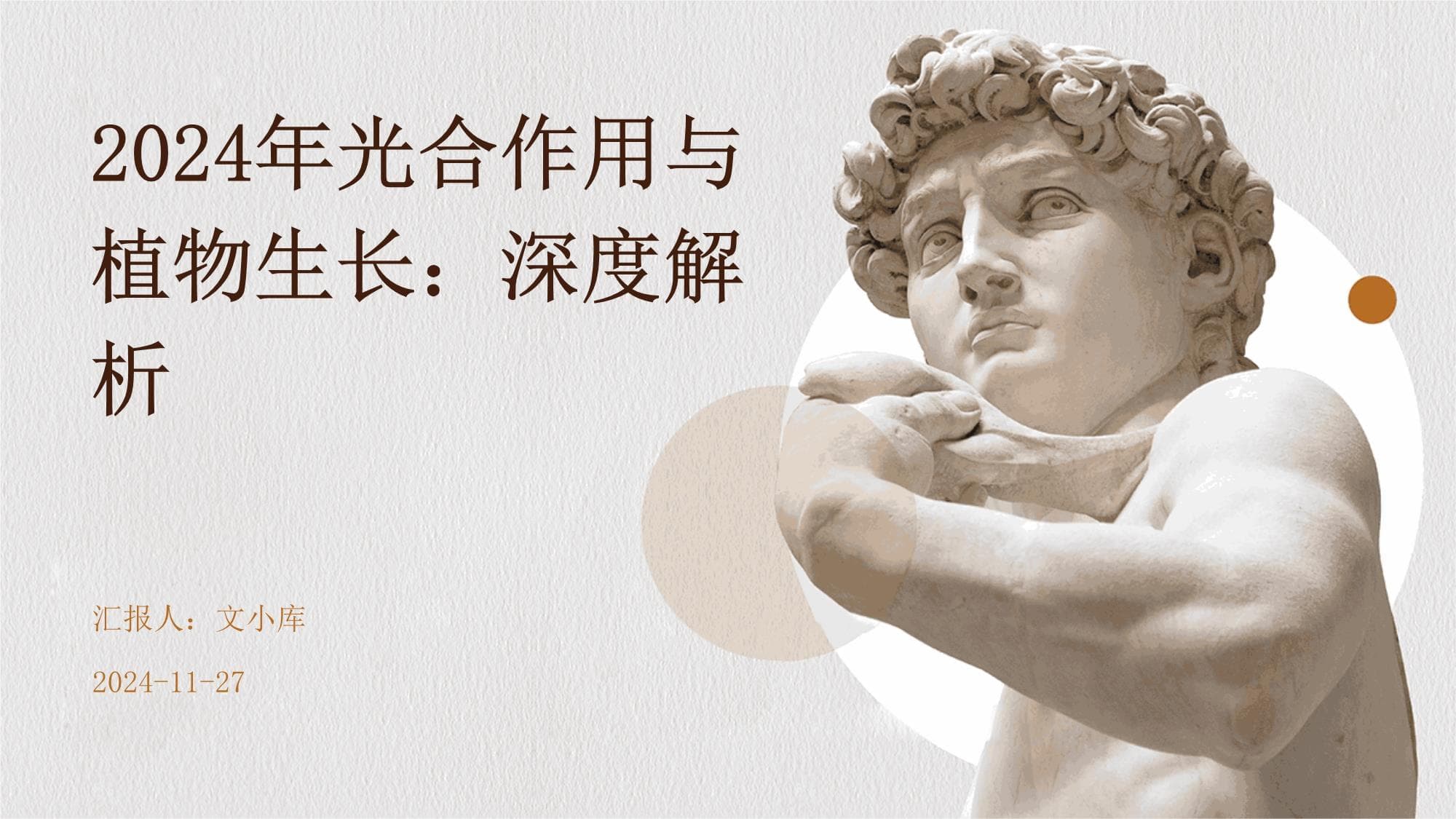 光合作用与植物生长：深度解析