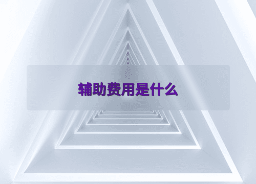 辅助费用是什么