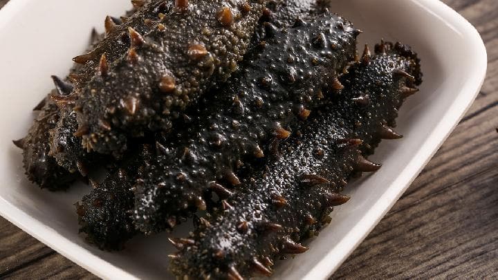 海参的功效与食用禁忌：八类人不宜随便食用