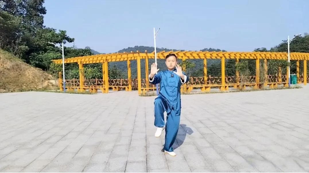 练杨氏太极拳好，还是陈氏太极拳好？
