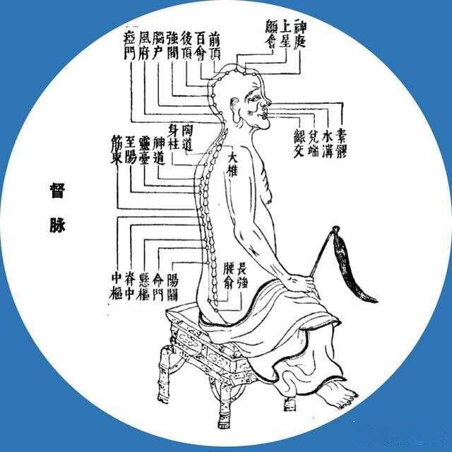 这15张图和表带你走进中医经络的世界，学中医必备收藏