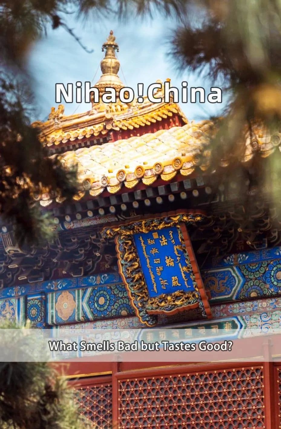 【双语】你好中国 | 现代年轻人的新兴打卡地：雍和宫