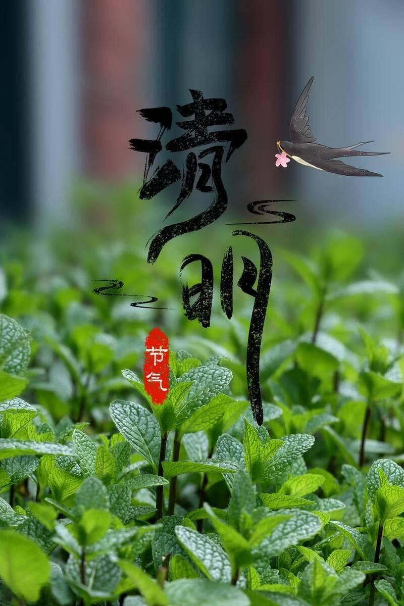 清明传统美食盘点