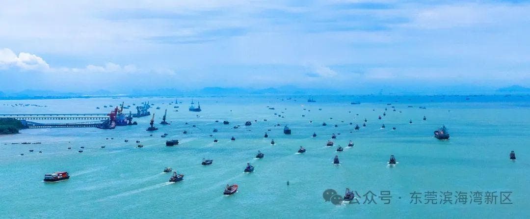 寻迹滨海湾 | 开渔后，这里不仅“海鲜自由”，还有文化“佳肴”