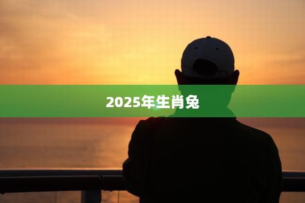 2025年生肖兔