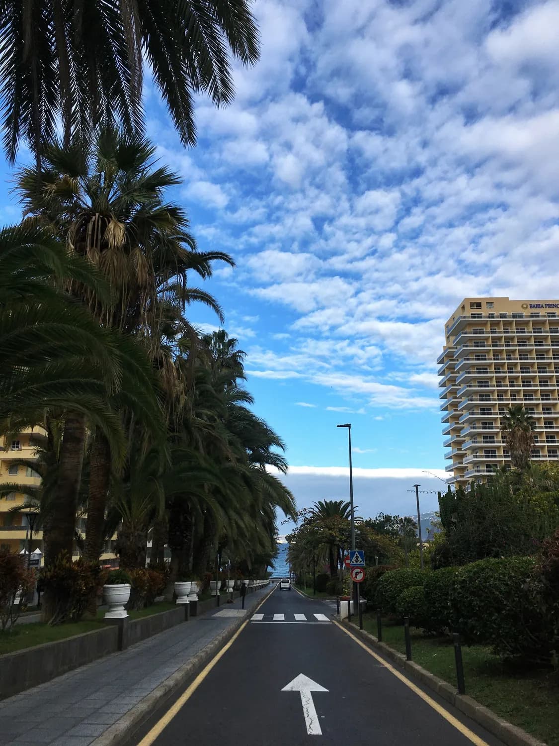 秋冬自驾游：厦门环岛路最美风景线