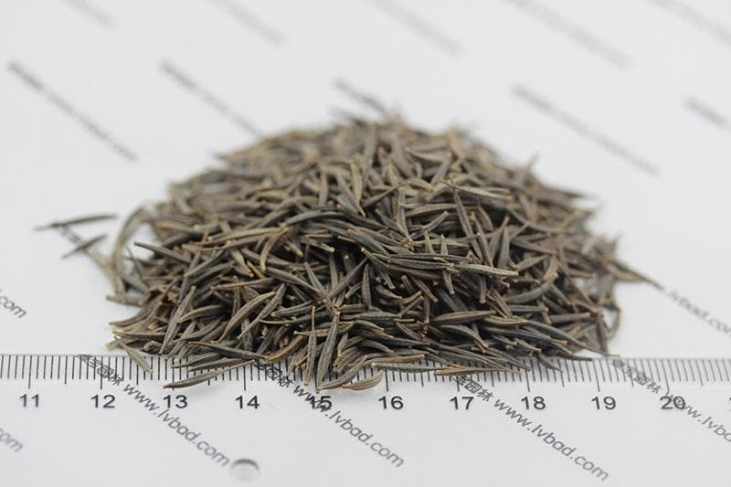 草本花和球根类花卉栽植全攻略：从土壤准备到品种推荐