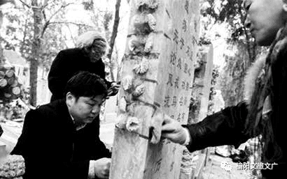 清明节，看各国祭奠习俗