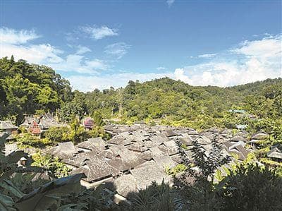 景迈山：“一片绿叶”创造多元价值