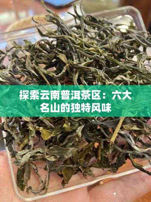 云南普洱六大山头