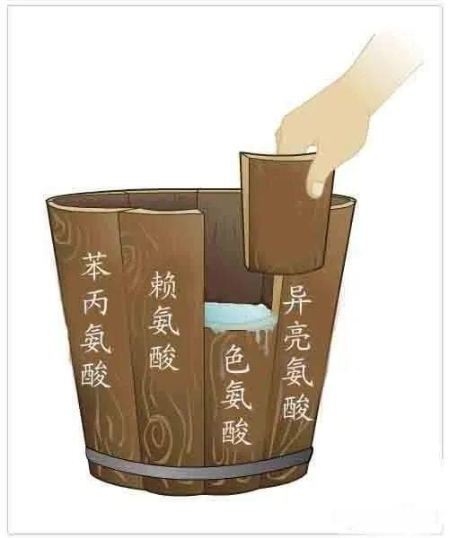 你对蛋白质有多少误解？——蛋白质的10个问题！