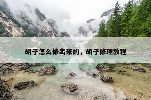男士胡子修理全攻略：从工具选择到造型技巧