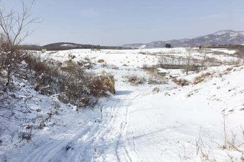汉中冬季探秘：美食、美景与雪色交融的3日游攻略