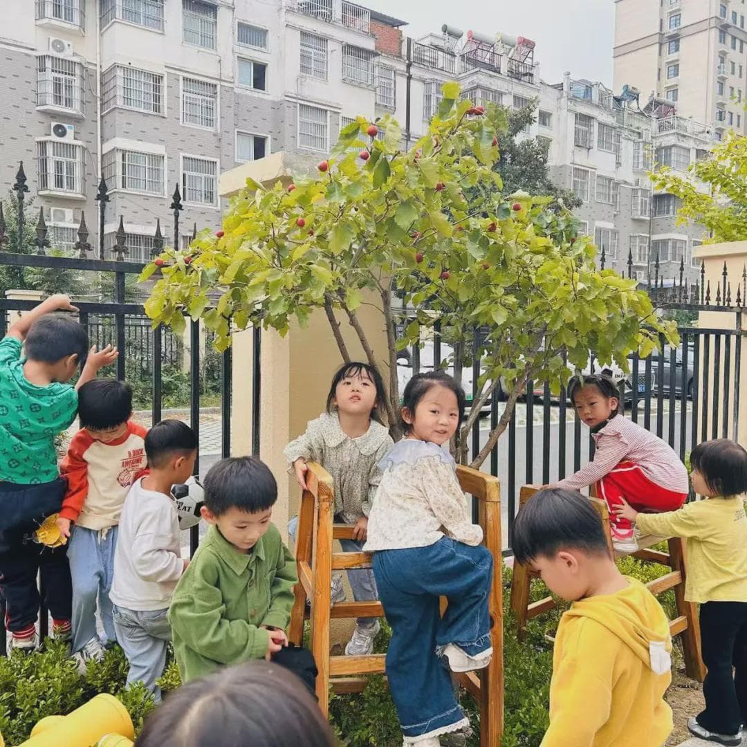 “食”美味 “育”美好——阜南鹿城幼儿园食育课程“冰糖葫芦”