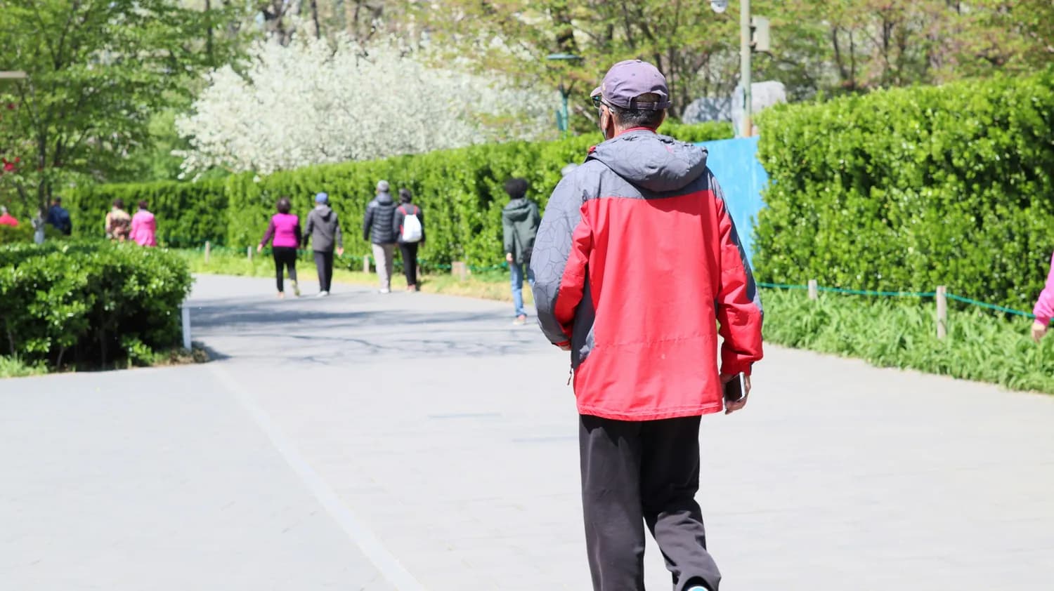 退休人员再出发：社工证开启第二职业